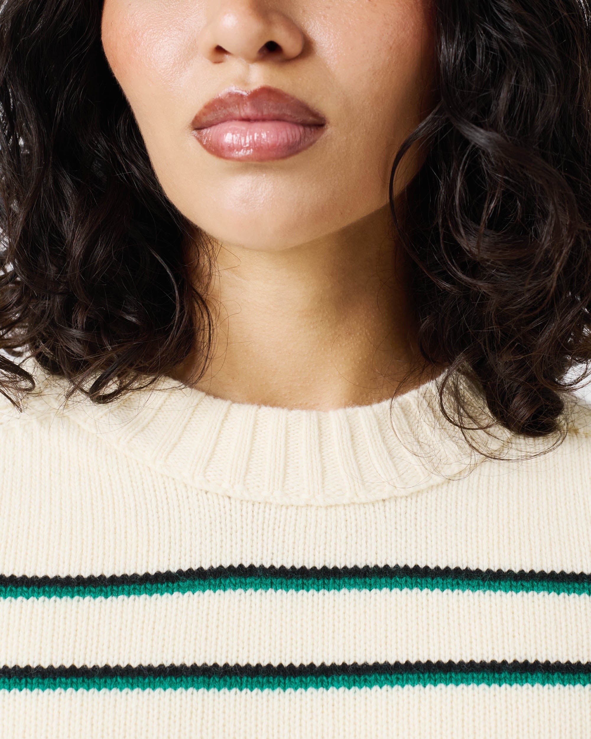 Stripe Knit Crew