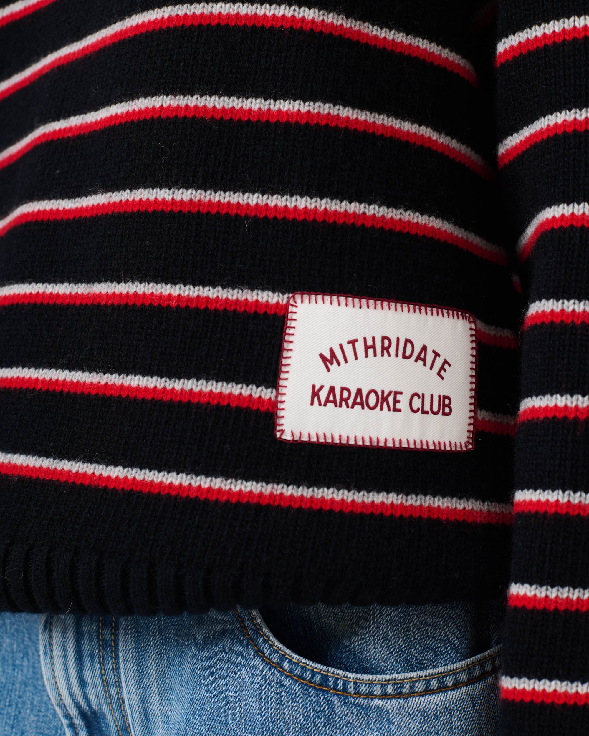Stripe Knit Crew