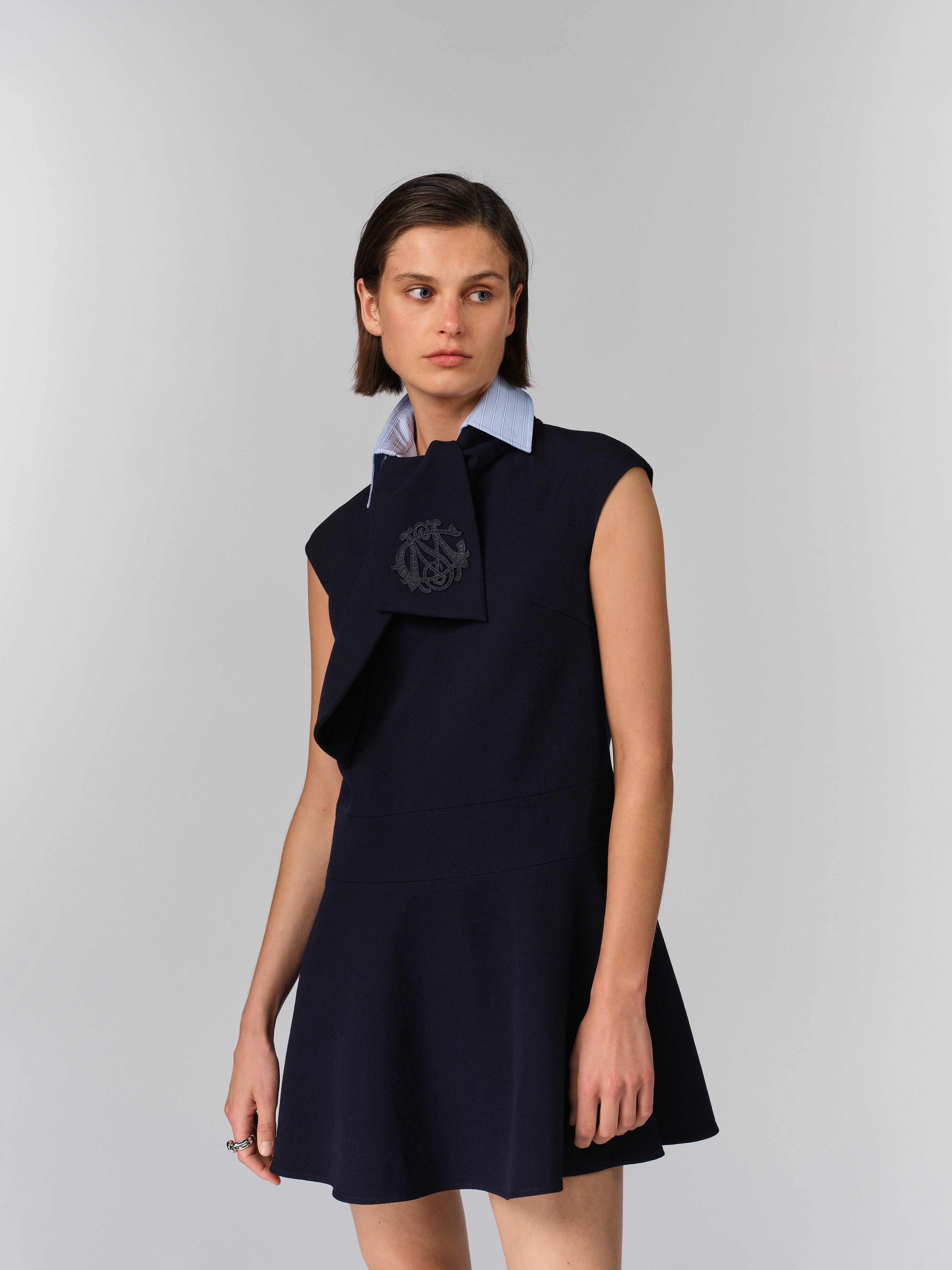 Tie Neck Dress