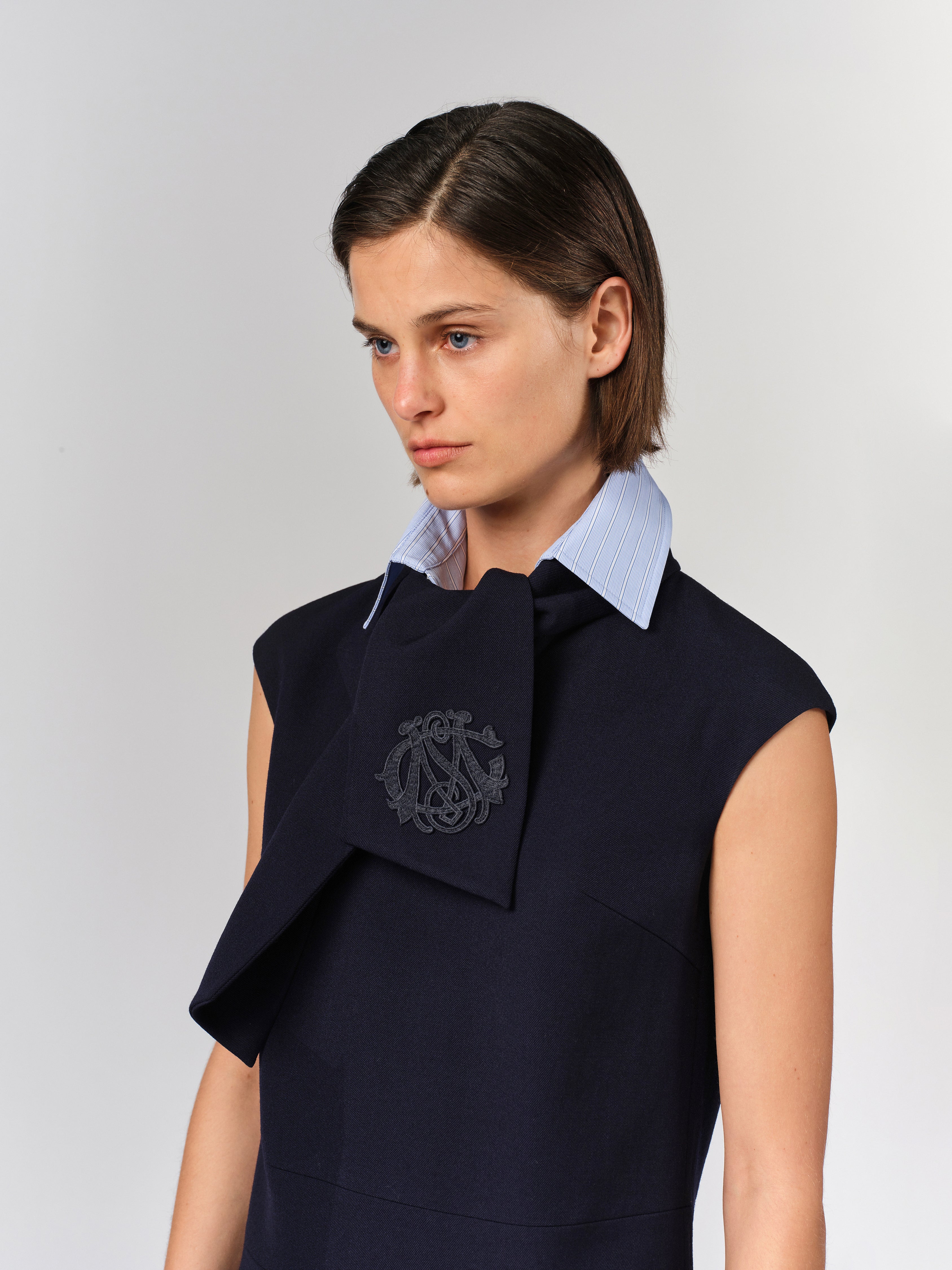 Tie Neck Dress