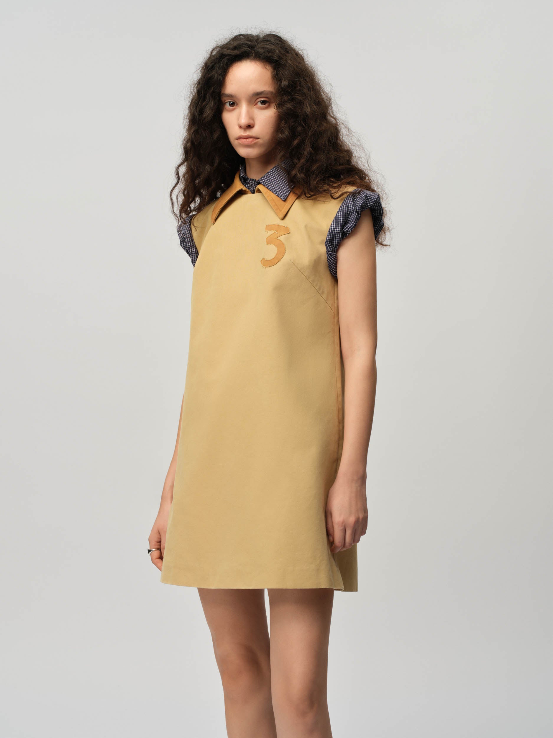 Canvas Shift Dress