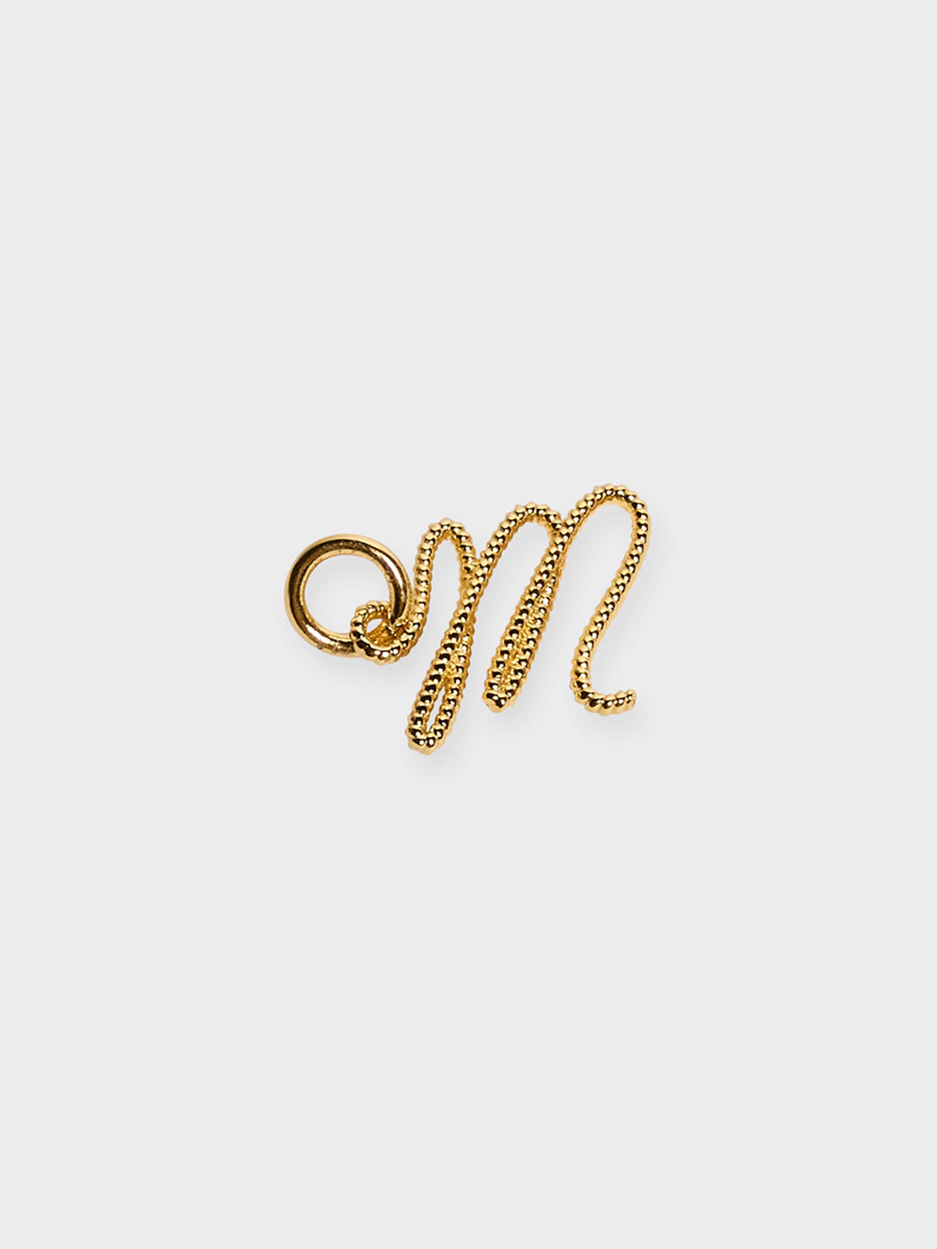 Shoe Lace Charms